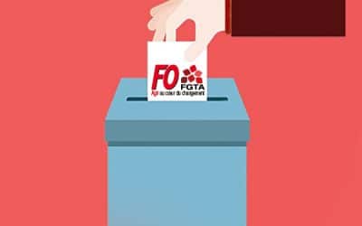 Elections chez Logista France : FO améliore sa représentativité