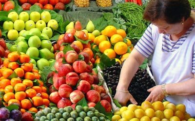 Entreprises d’expédition et d’exportation des fruits et légumes : la FGTA-FO négocie et signe les salaires 2022